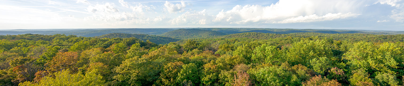 Harrison-Crawford State Forest, Indiana
