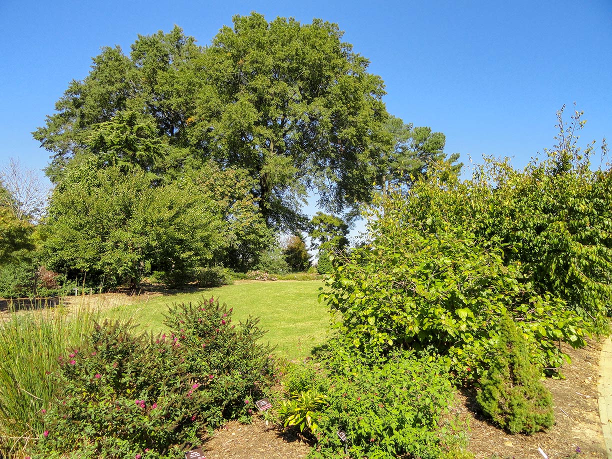 JC Raulston Arboretum, Raleigh, North Carolina