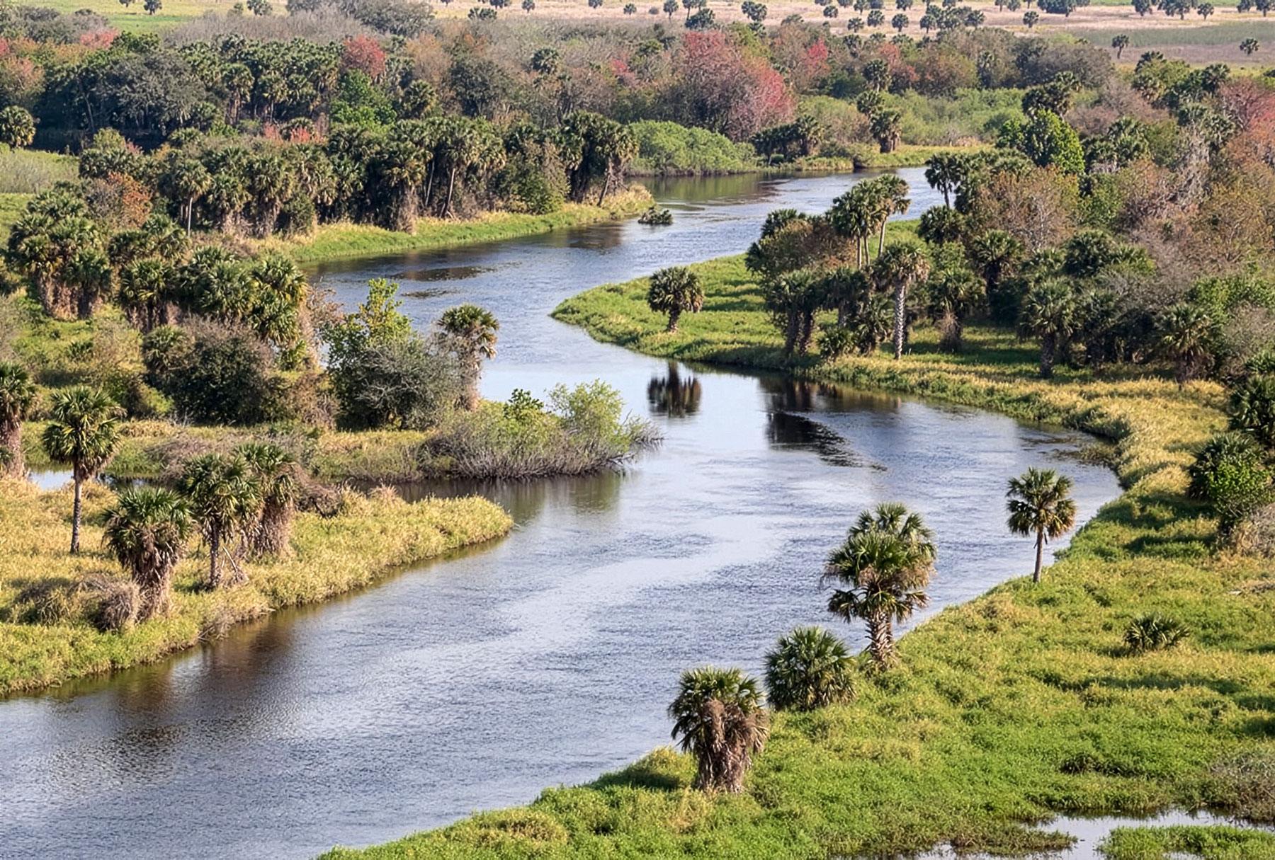 St. John's River in the Ocala National Forest, which is part of the National Forests in Florida.