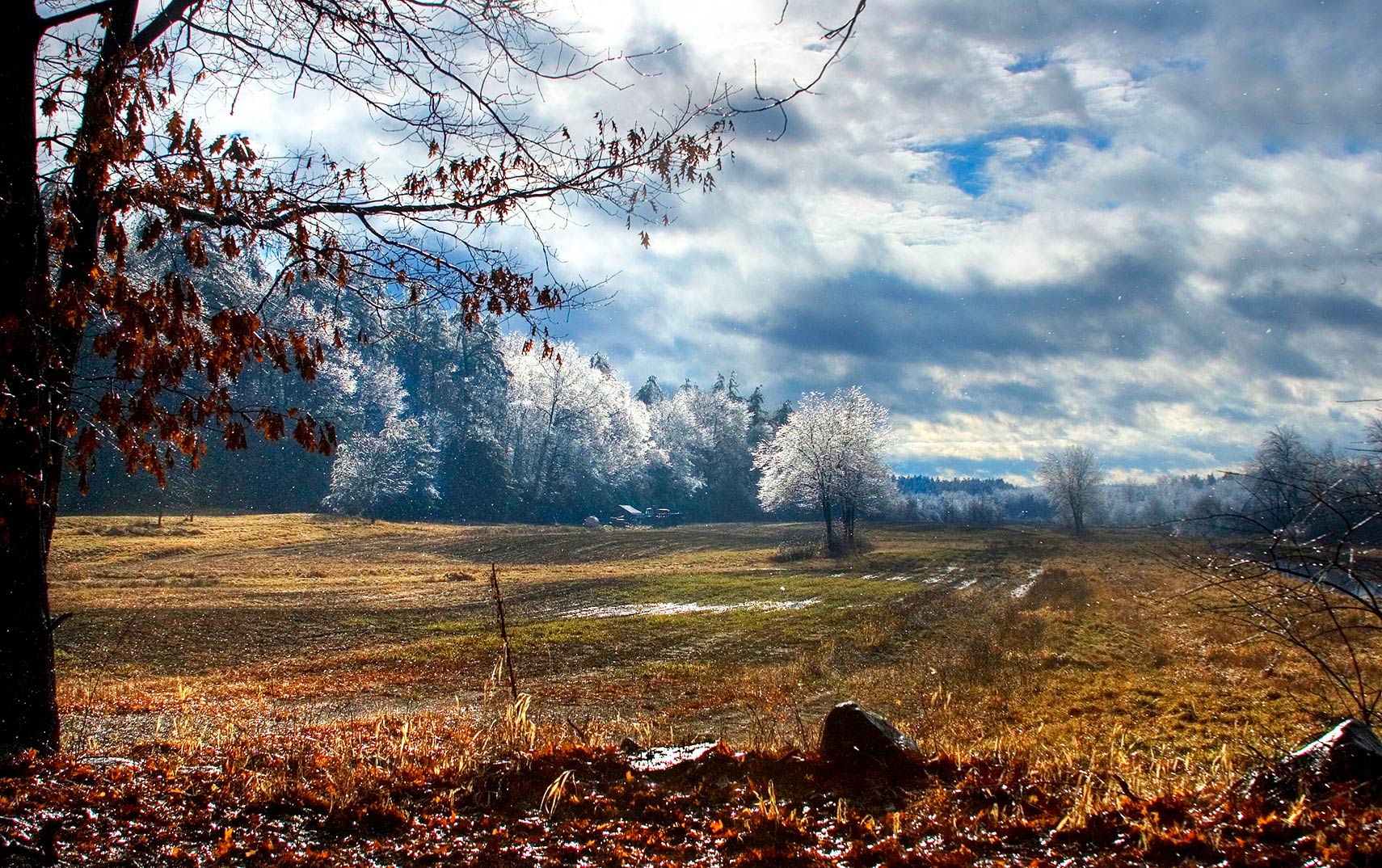 Landscape after an ice storm near Boxborough, Massachusetts