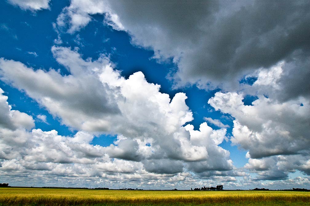 Minnesota landscape in Kandiyohi County