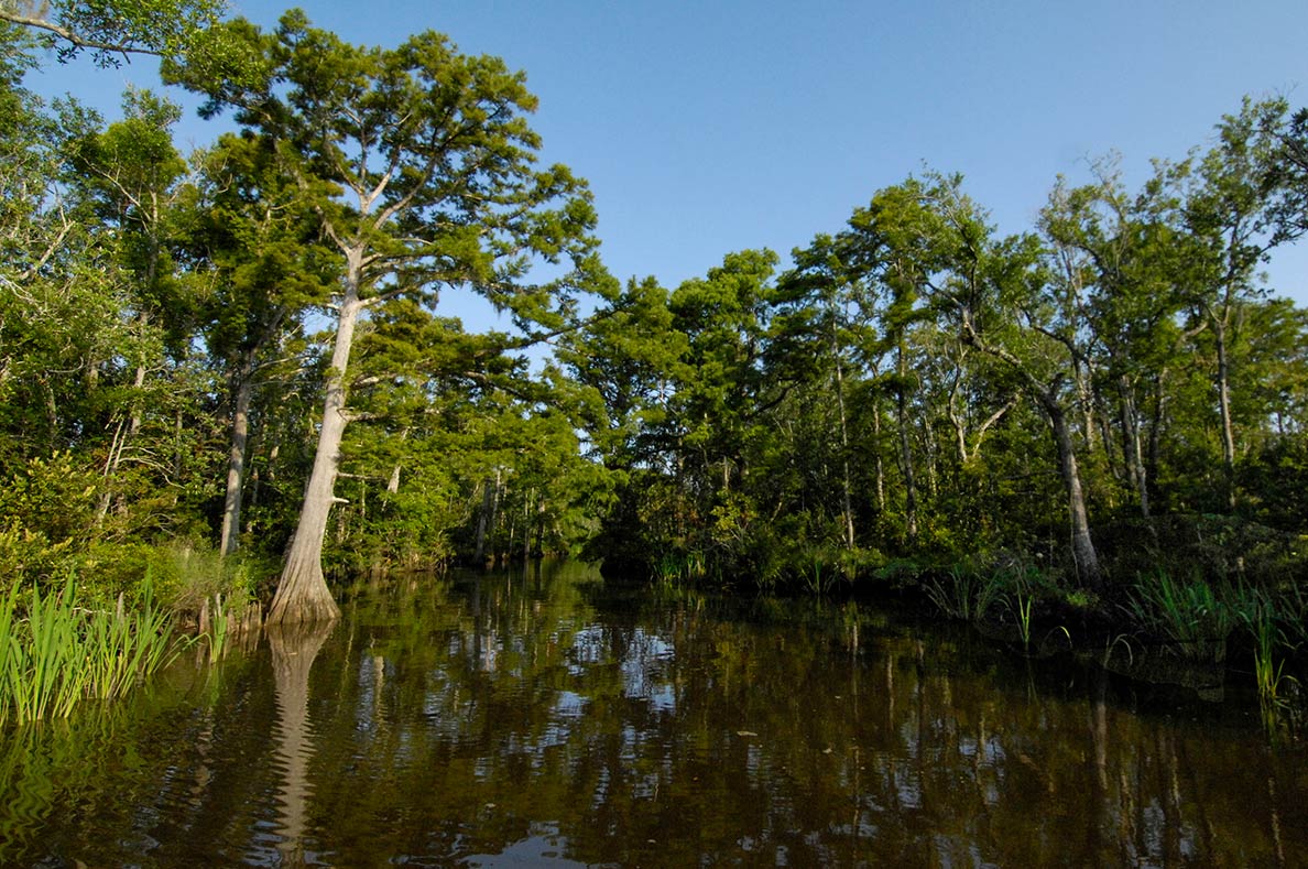 Pascagoula River in Mississippi 