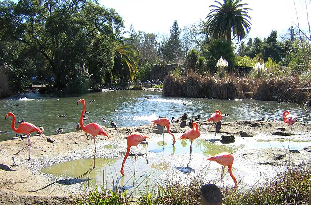 Sacramento Zoo, Sacramento, California, United States
