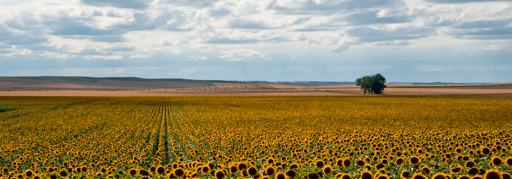 Reference Maps Of North Dakota Usa Nations Online Project - 