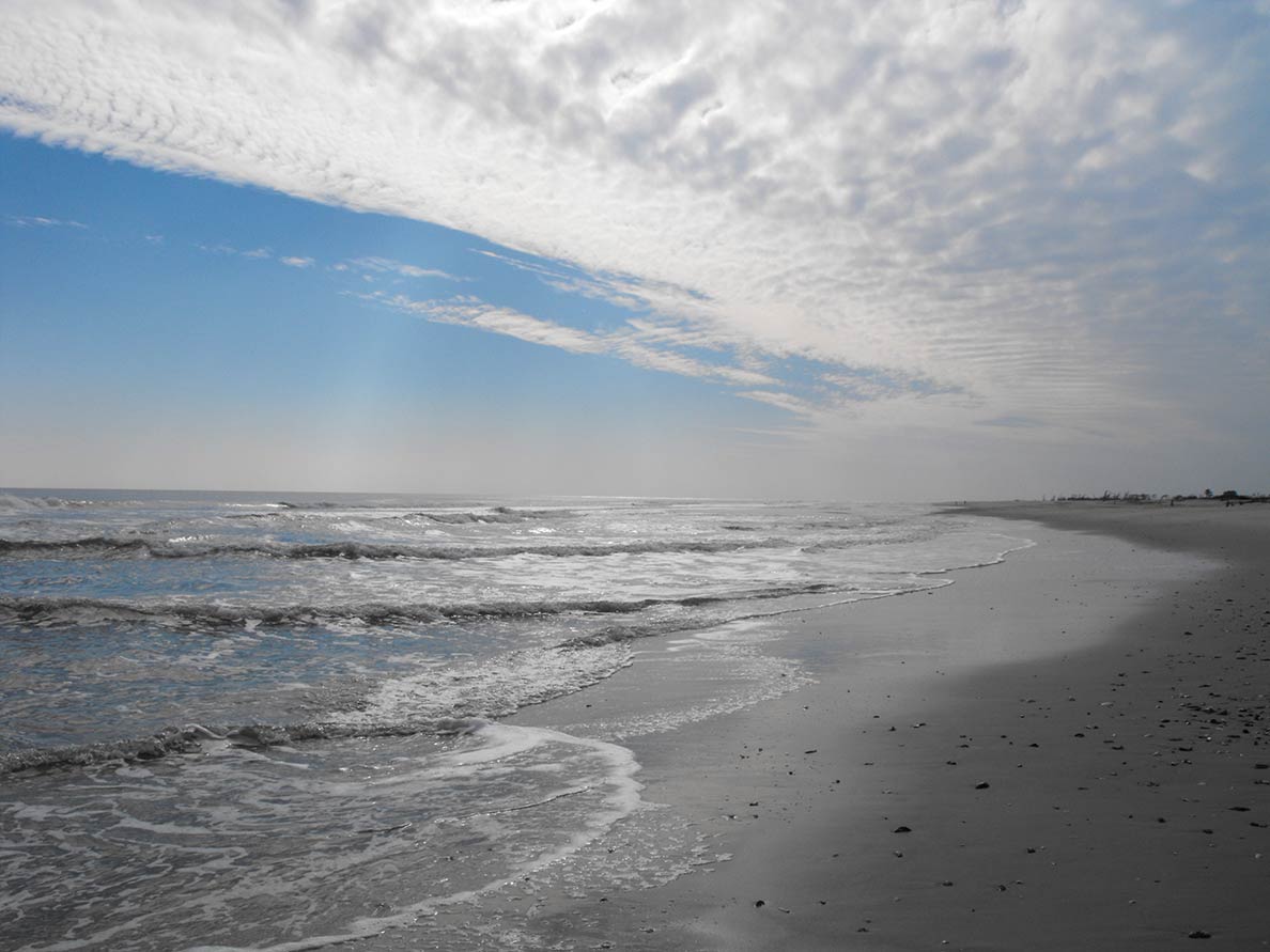 Wild Beach at Chincoteague National Wildlife Refuge / Assateague Island National Seashore in Maryland