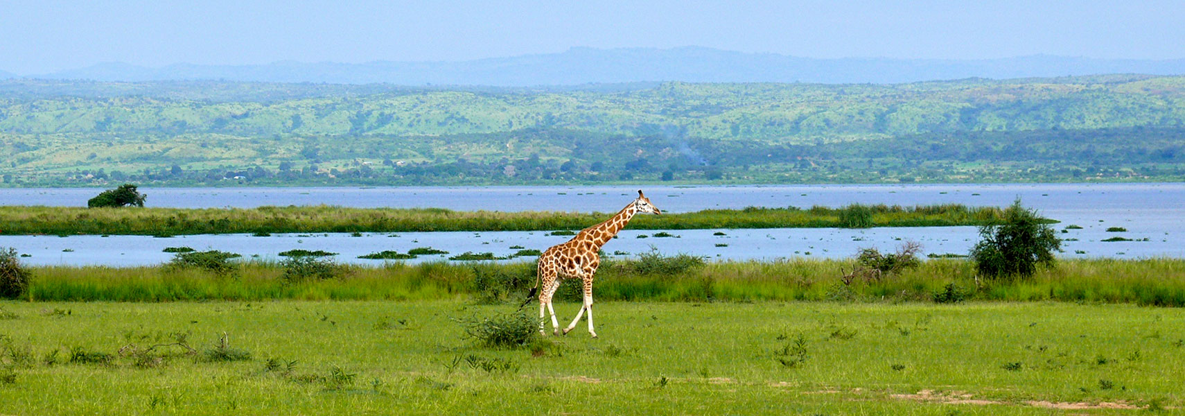 Albert lake in Murchison Falls National Park Uganda