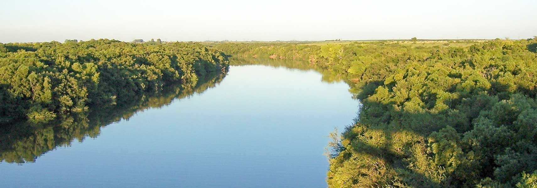 Riparian forests at Rio Queguay, Paysandu Department, Uruguay