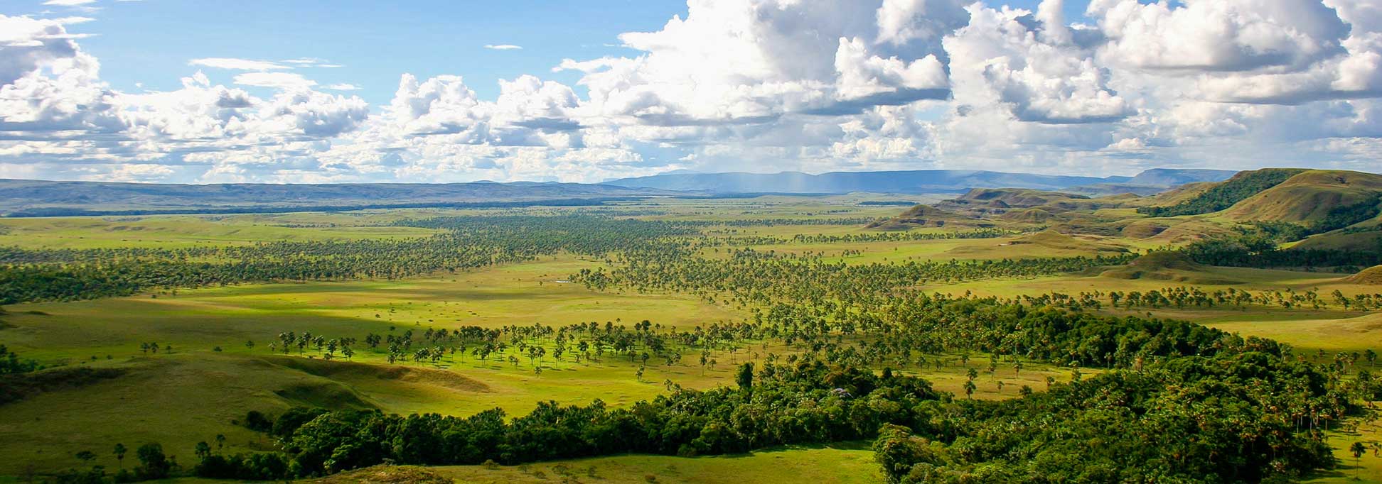 Gran Sabana, the Great Plain is part of the Canaima National Park in Venezuela