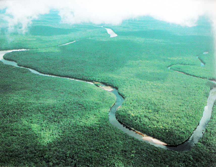 Orinoco Delta in eastern Venezuela