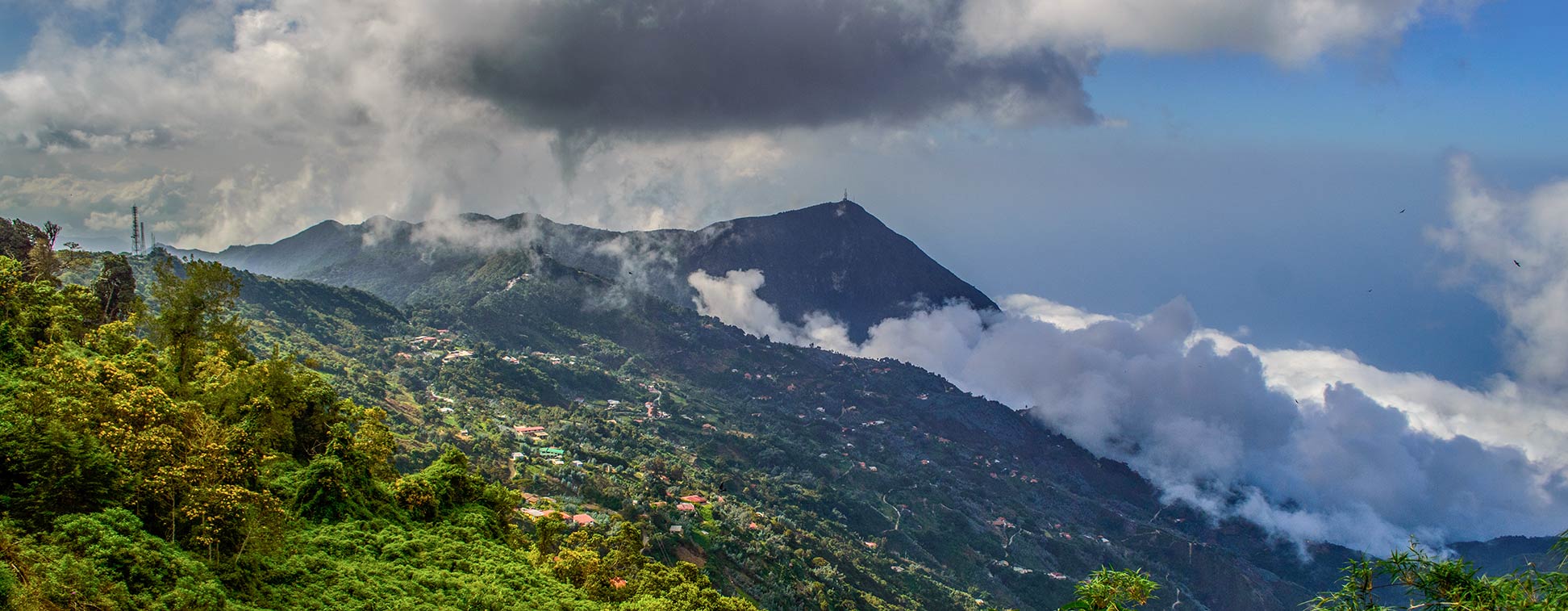 Picacho de Galipan in the Venezuelan Coastal Range