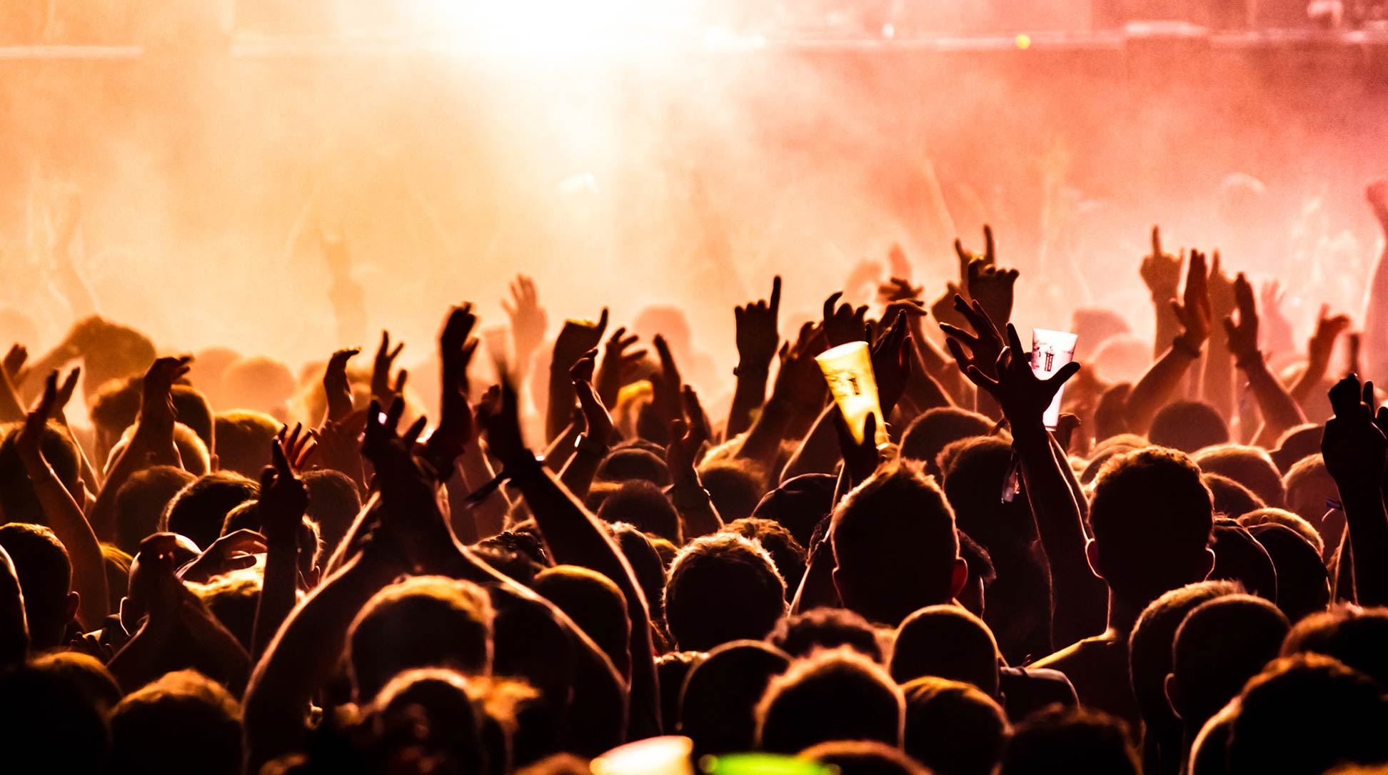 Crowd of people cheering at a live concert