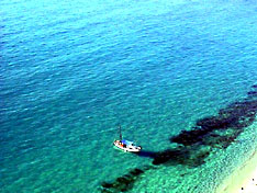 Tropea Beach