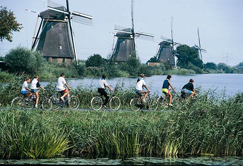 Dutch Kinderdijk Windmills