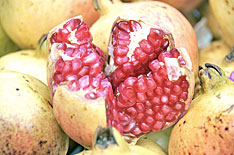 Pomegranate