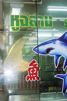 Shark Fin Restaurant