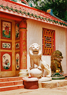 Stone Lions