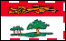 Prince Edward Island Flag